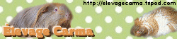 banniere.gif