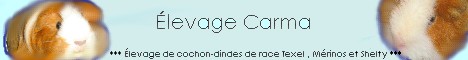 elevagecarma.jpg