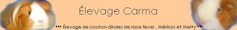 elevagecarma2.jpg