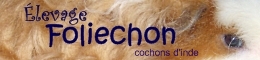 foliechon.jpg